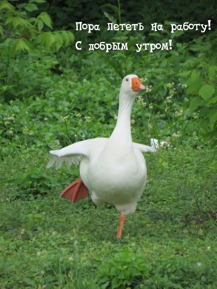    !   !
