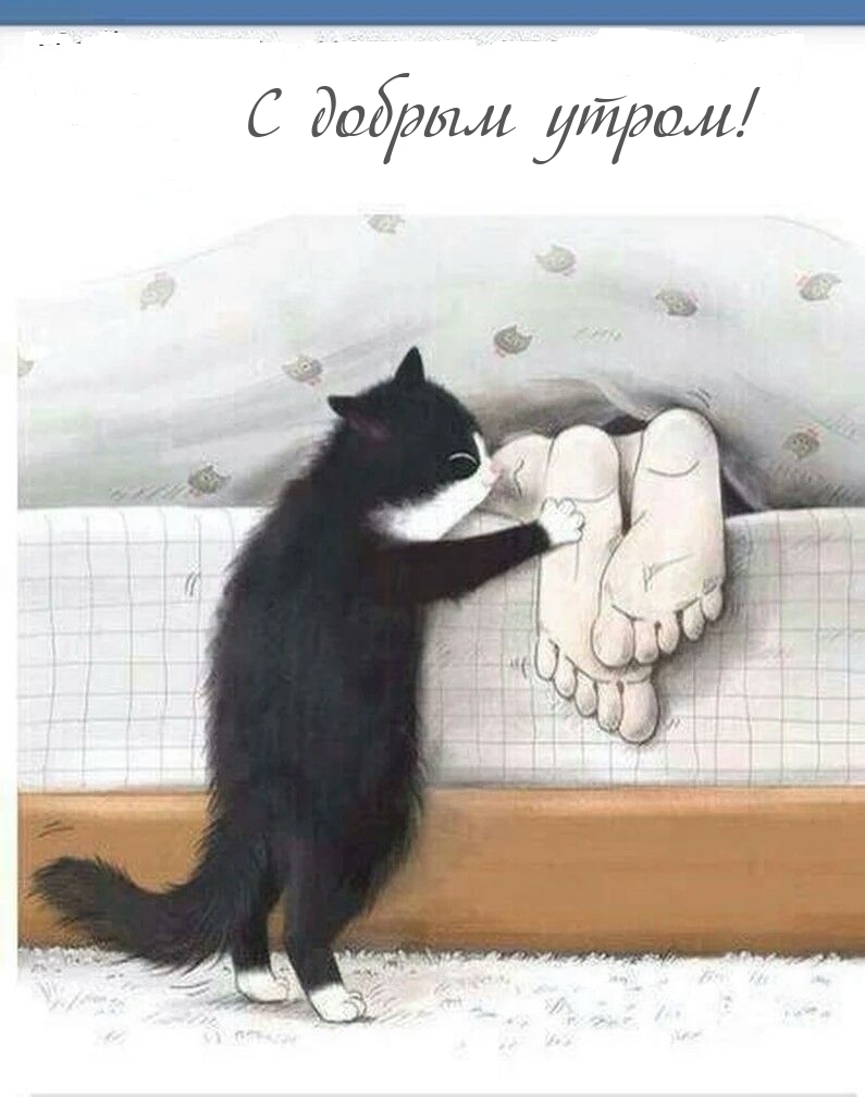   !