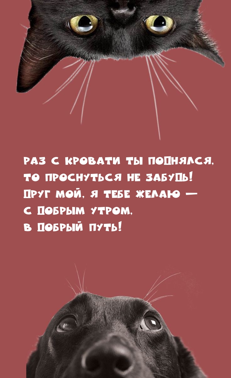 Друг мой, я тебе желаю — с добрым утром, в добрый путь!