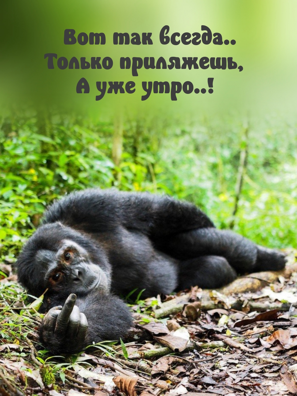   ..  ,   ..!