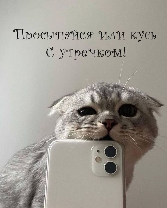     !