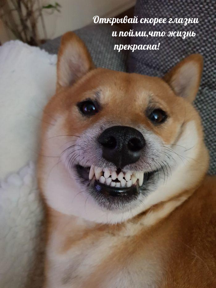     ,   !