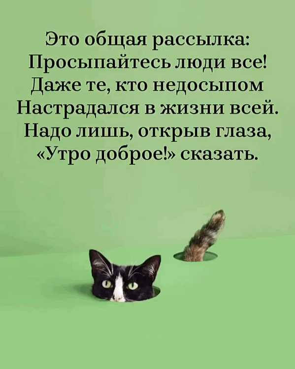  !
