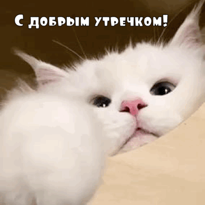   !
