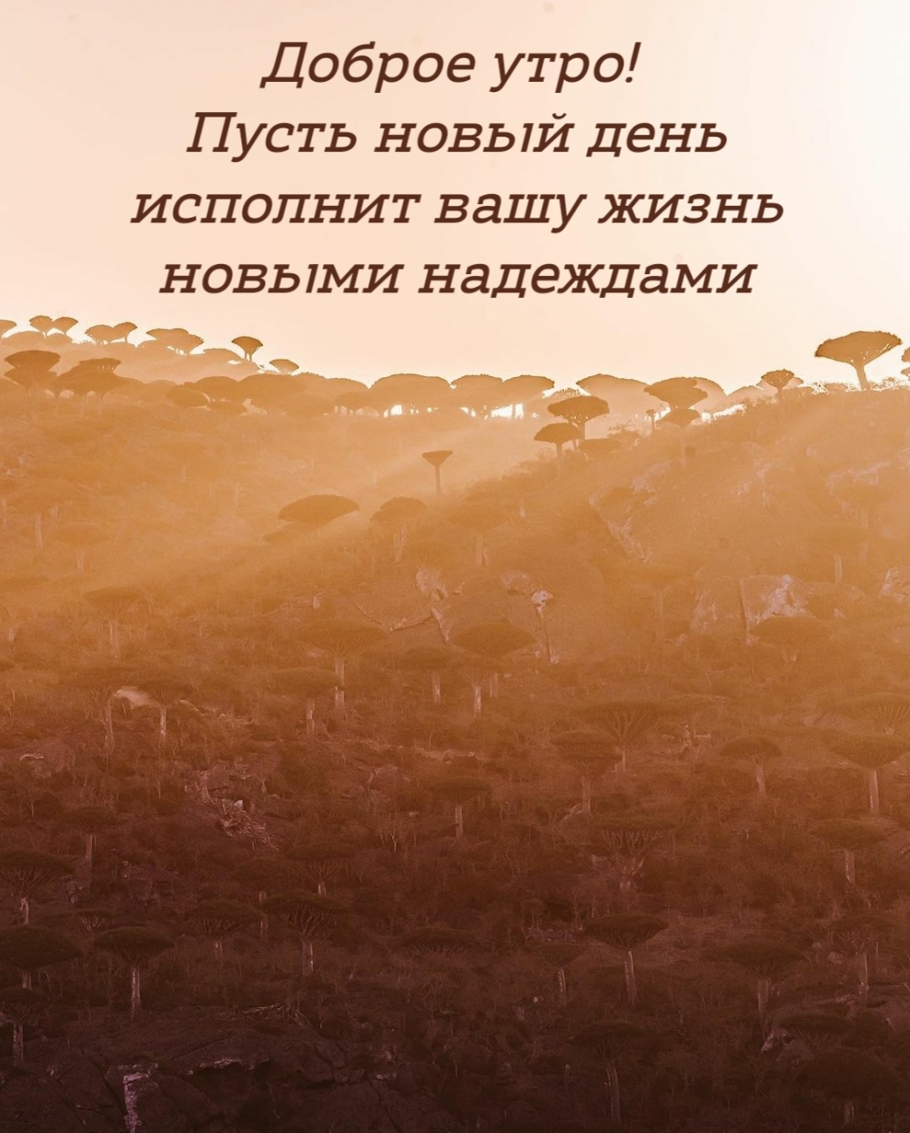 Новый день новый шанс. Новый день новая жизнь. Пусть новый день. В новый день с новыми силами. Новый день новые надежды.