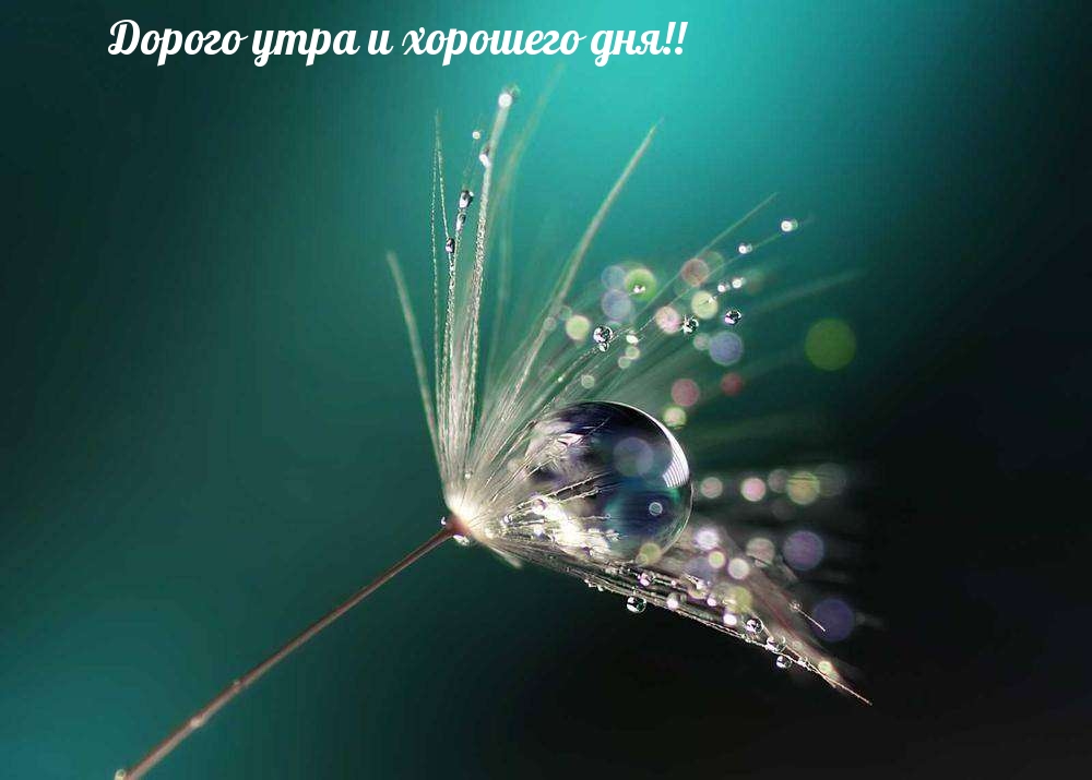 Дорого утра и хорошего дня!