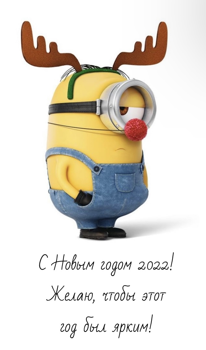    2022! ,     !