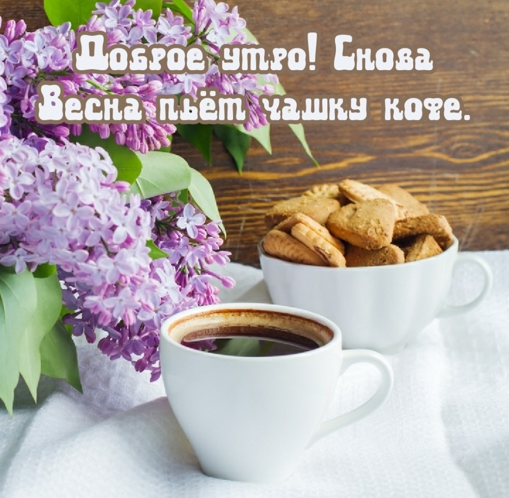 Доброе утро! Снова Весна пьёт чашку кофе.