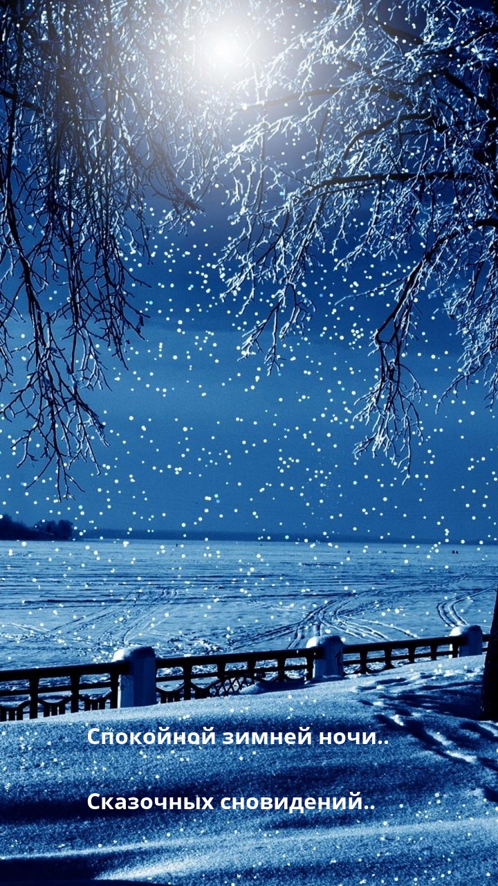 Спокойной зимней ночи.. Сказочных сновидений..