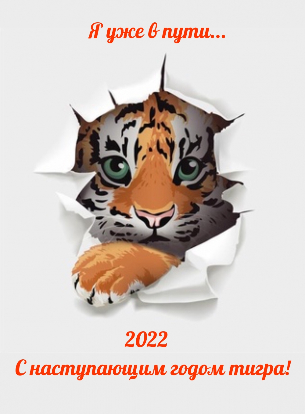    ... 2022    !                     