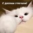   !