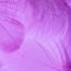    !