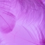        !