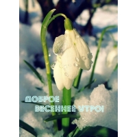 ������ �������� ����!