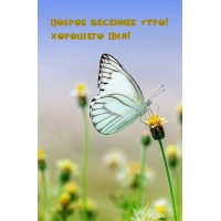 ������ �������� ����! �������� ���!