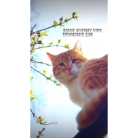 ������ �������� ����! ����������� ���!