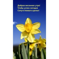 ������ �������� ����! ������ � �����!