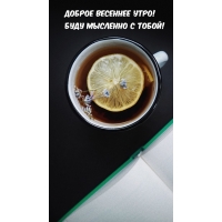 ������ �������� ����! ���� �������� � �����!