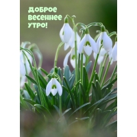 ������ �������� ����!