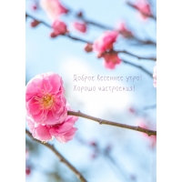 ������ �������� ����! ������ ����������!