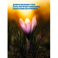 ������ �������� ����! ����� ��� ����� ���������