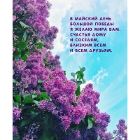 � ������� ���� ������� ������ � ����� ���� ���.
