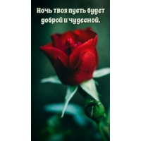 ���� ���� ����� ����� ������ � ��������.