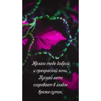 ����� ���� ������ � ���������� ����. ������ ���� ���������