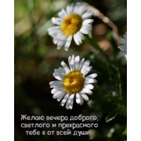 ����� ������ �������, �������� � ����������� ���� � �� ���� ����. 