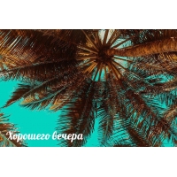 �������� ������