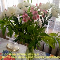 � ������ �����, ������! ����� ��� ���� ���������� �������!