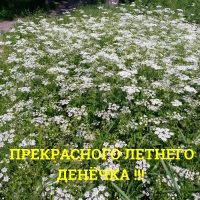 ����������� ������� �������!