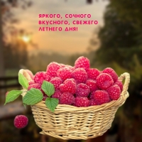 ������, ������� ��������, ������� ������� ���!