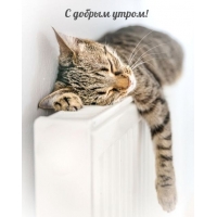 � ������ �����!