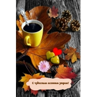 � �������� ������� �����!