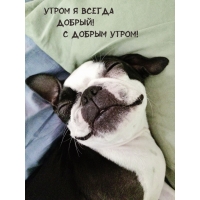 ����� � ������ ������! � ������ �����!