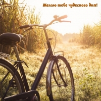 ����� ���� ��������� ���!