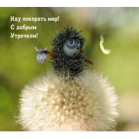 ��� �������� ���! � ������ ��������!