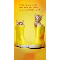 ���, �������, �� ���������? ������ ����!