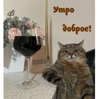 ���� ������!