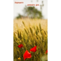 �������� ������� ���.