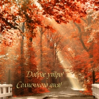 ������ ����! ���������� ���!