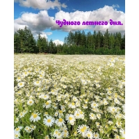 ������� ������� ���.