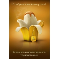 � ������ � ������ �����!  �������� ��������� ���!