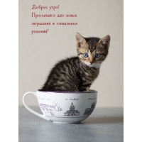 ������ ����! ���������� ��� ����� ���������