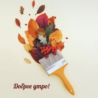 ������ ����!