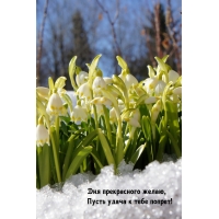 ��� ����������� �����, ����� ����� � ���� ������!