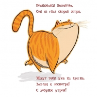 ���������� ��������, ��� �� ���� ������ �����