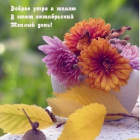 ������ ���� � ����� � ���� ����������� ������ ����!