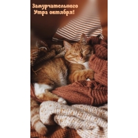 ��������������� ���� �������!